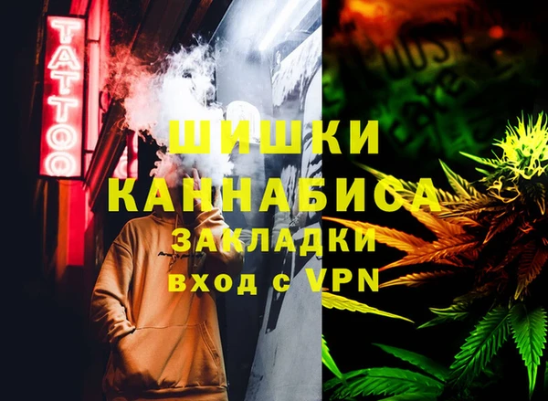 дживик Мегион