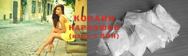 дживик Мегион