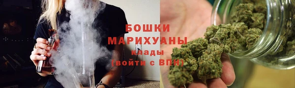 дживик Мегион