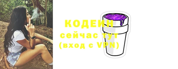 дмт Анива
